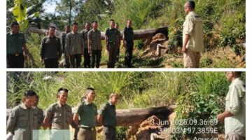 KPH Wilayah VIII Perkuat Pengamanan Hasil Hutan dan Tata Niaga Getah Pinus